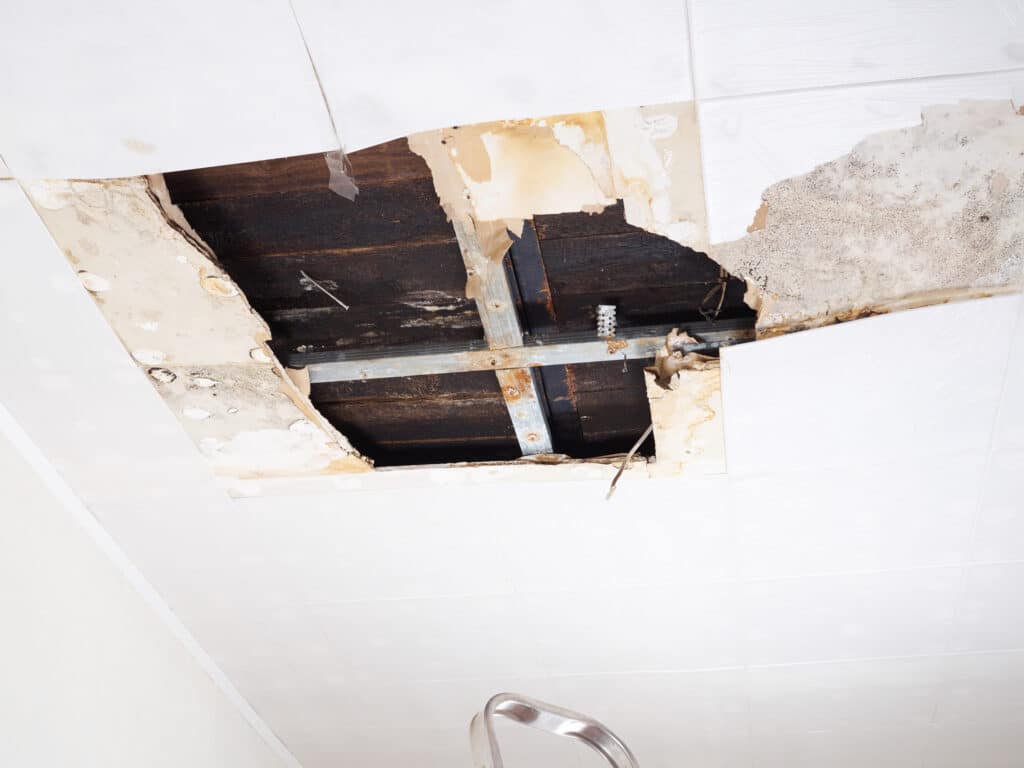 What are the Signs of Roof Water Damage