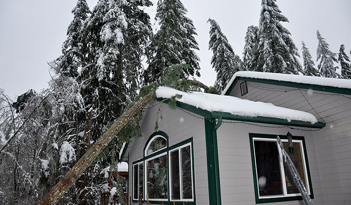 5 Ways to Protect Your Home from Winter Damage