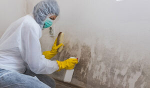 Does Mold-killing Paint Really Work?