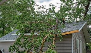 10 Things To Do Right After a Storm If You Have Storm Damage