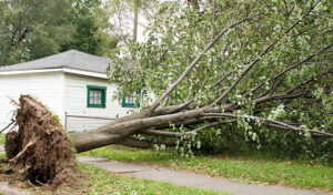 9 Steps to Take If Your Home Has Suffered From Wind Damage