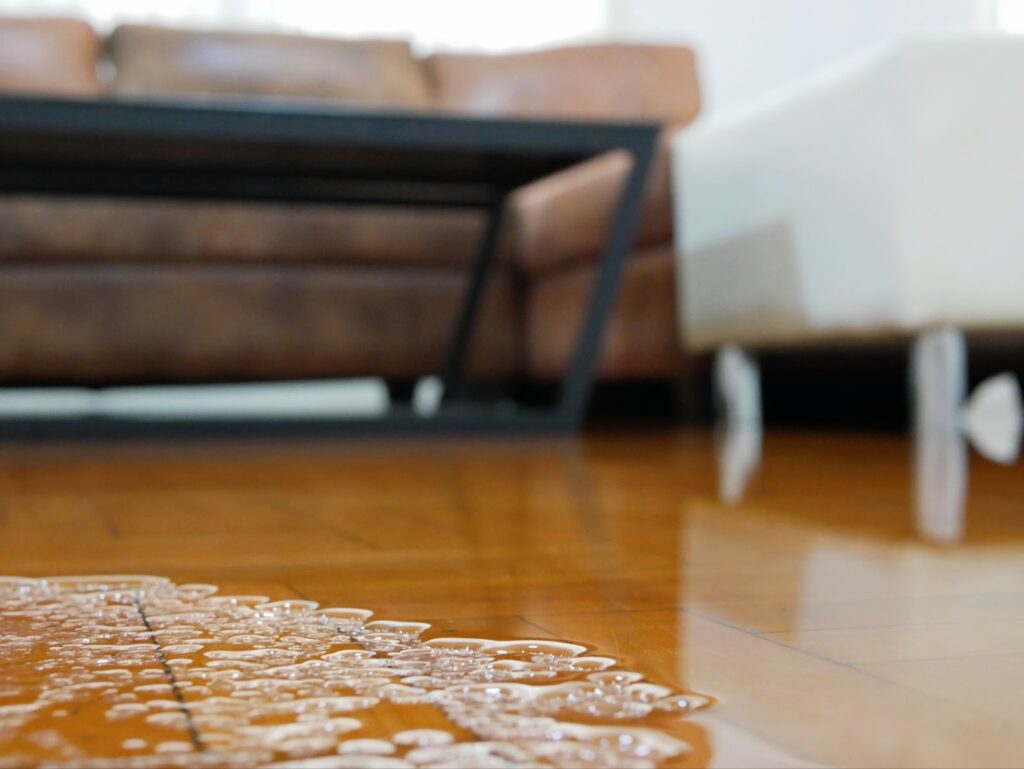Standard Homeowner’s Insurance for Water Damage