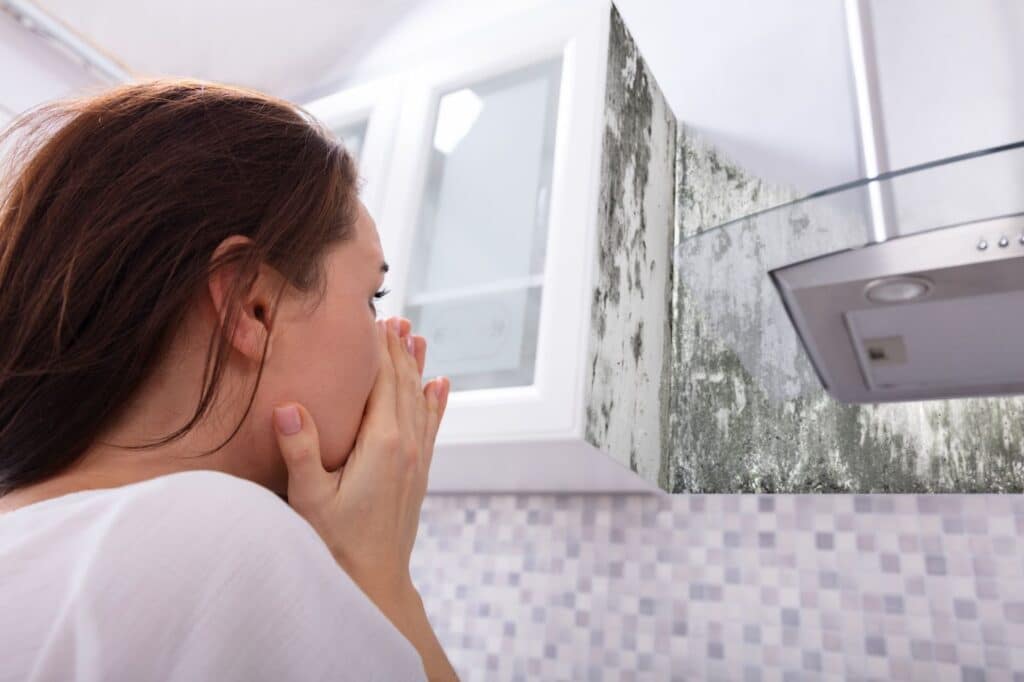 What is home mold and why should you care