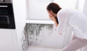 Invisible Invaders: The Hidden Health Risks of Home Mold