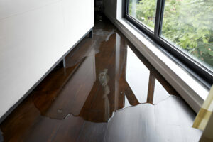 Water damage restoration