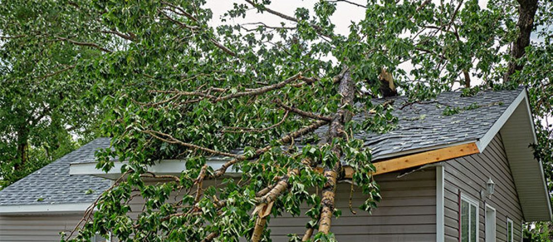 10 Things To Do Right After a Storm If You Have Storm Damage
