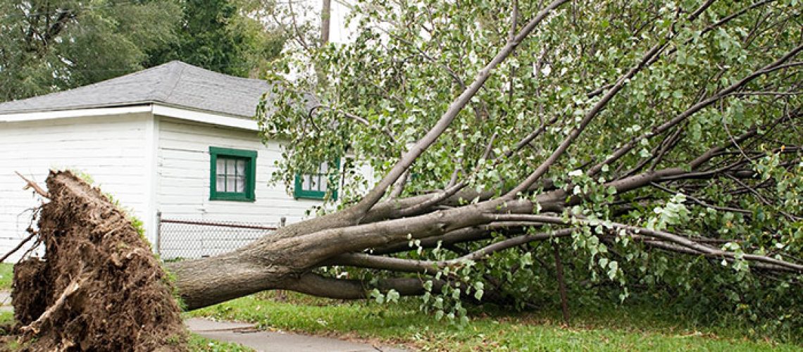 9 Steps to Take If Your Home Has Suffered From Wind Damage
