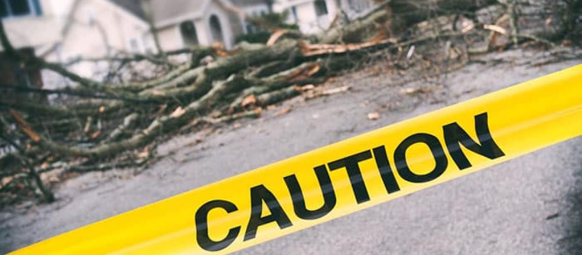 Does Insurance Cover Wind Damage? Everything You Need to Know