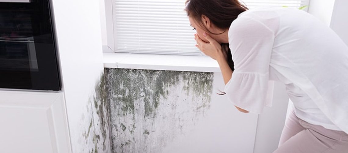 Invisible Invaders: The Hidden Health Risks of Home Mold